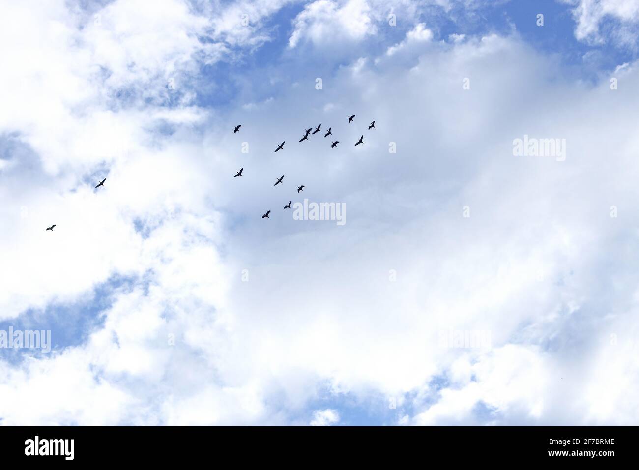 schöne Wolken am Himmel Stockfoto