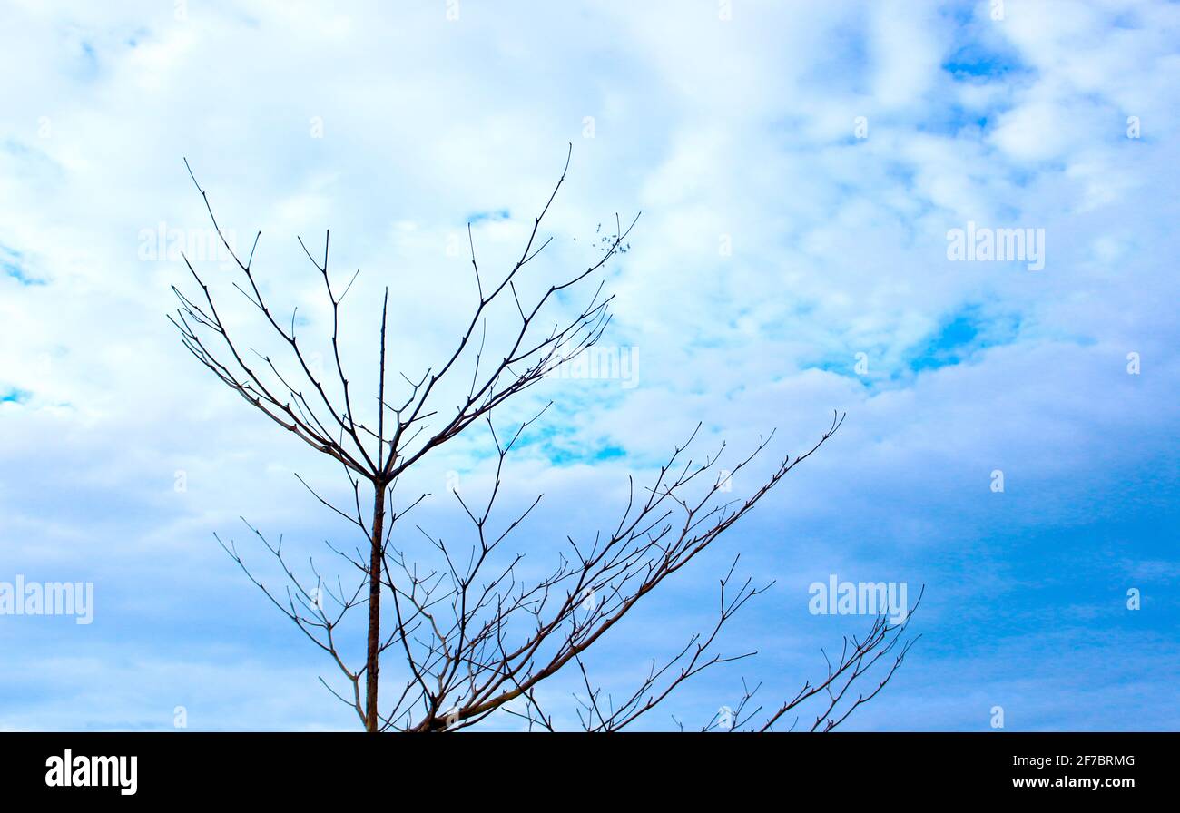 schöne Wolken am Himmel Stockfoto