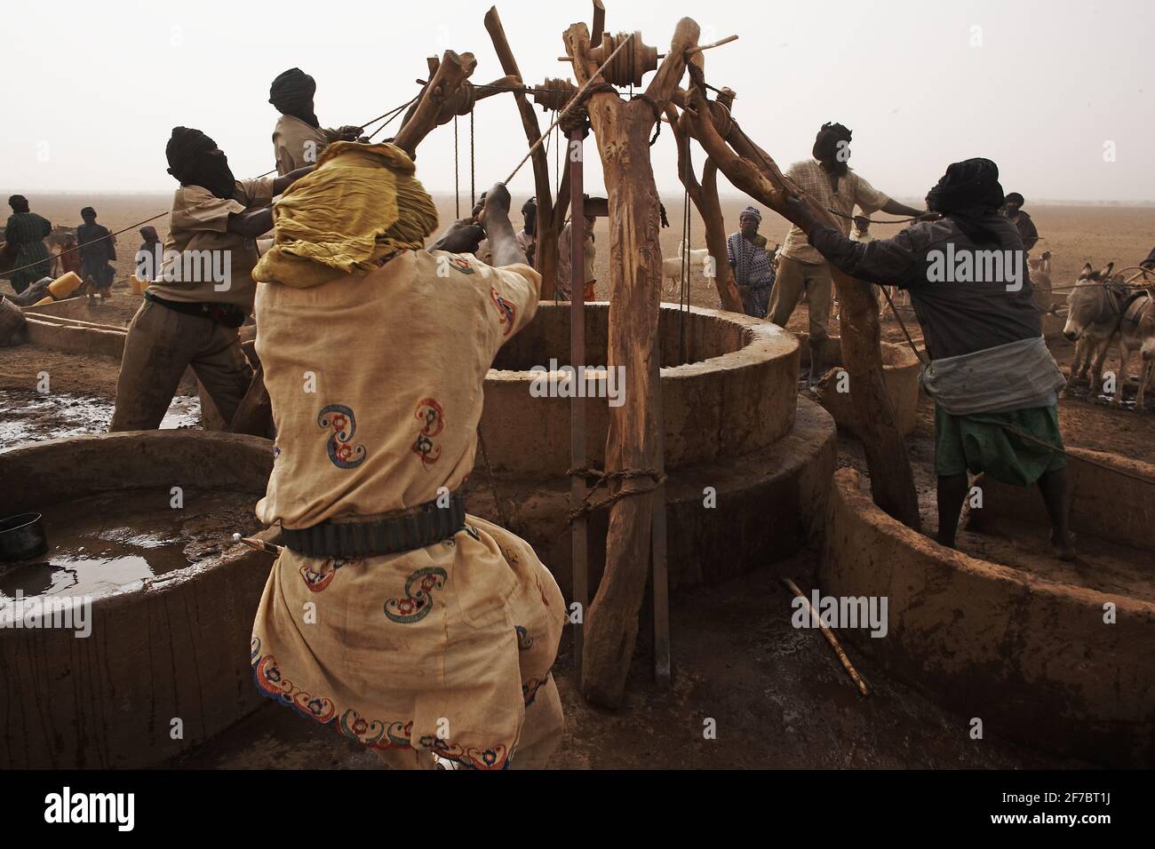 Mali/Timbuktu/ Menschen, die Wasser aus einem Wüstenbrunnen in der Sahara in Mali, Afrika, ziehen. Stockfoto