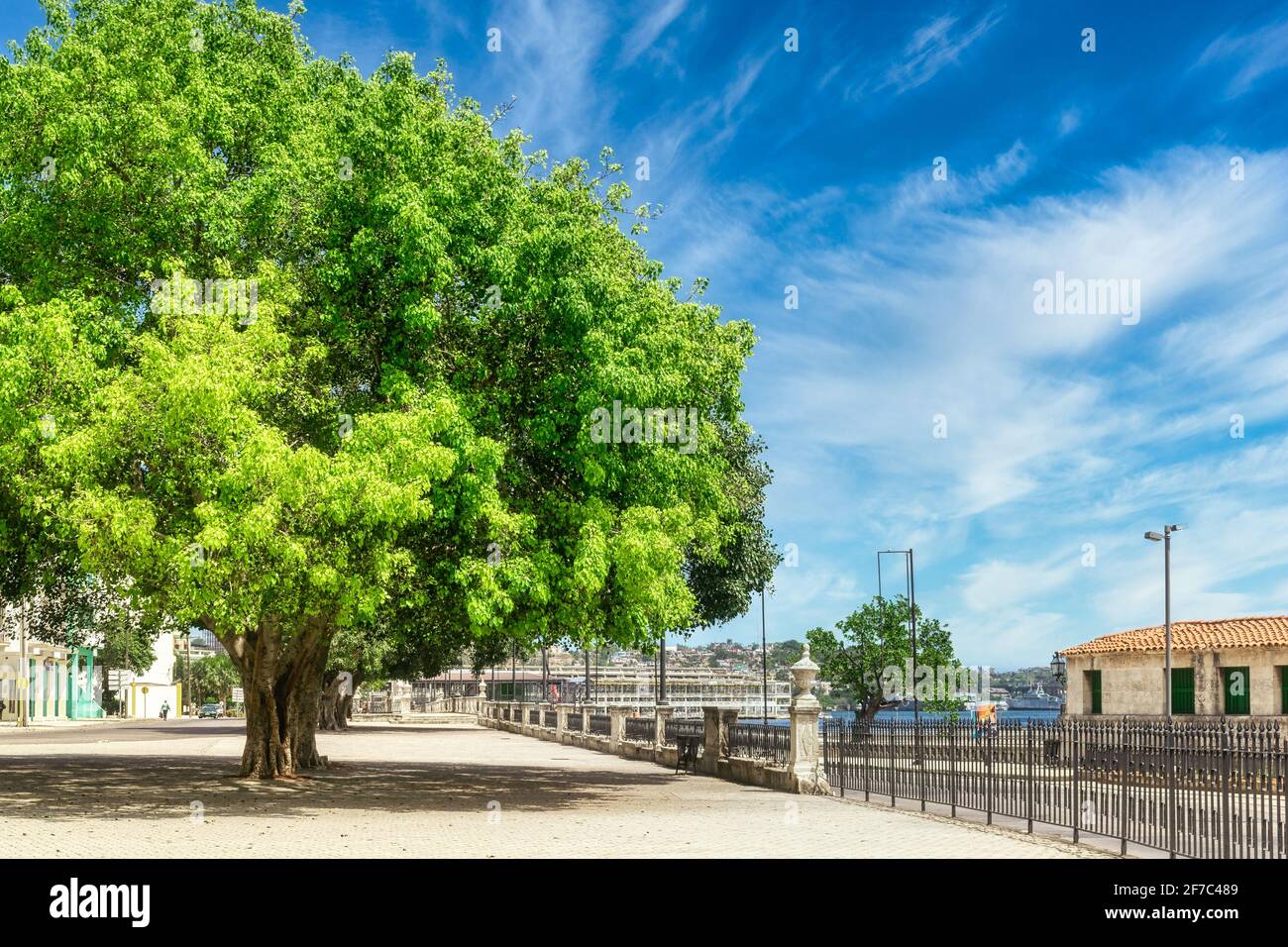 Alameda de Paula, Havanna, Kuba Stockfoto