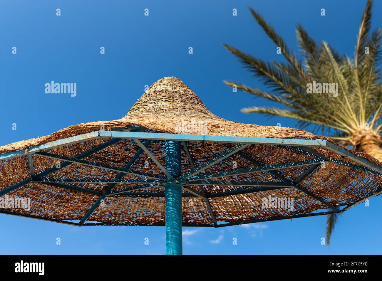 Nahaufnahme eines Strohschirmschirms vor einem klaren blauen Himmel mit einer Palme und einem Kopierraum. Rotes Meer, Marsa Alam, Ägypten, Afrika. Stockfoto