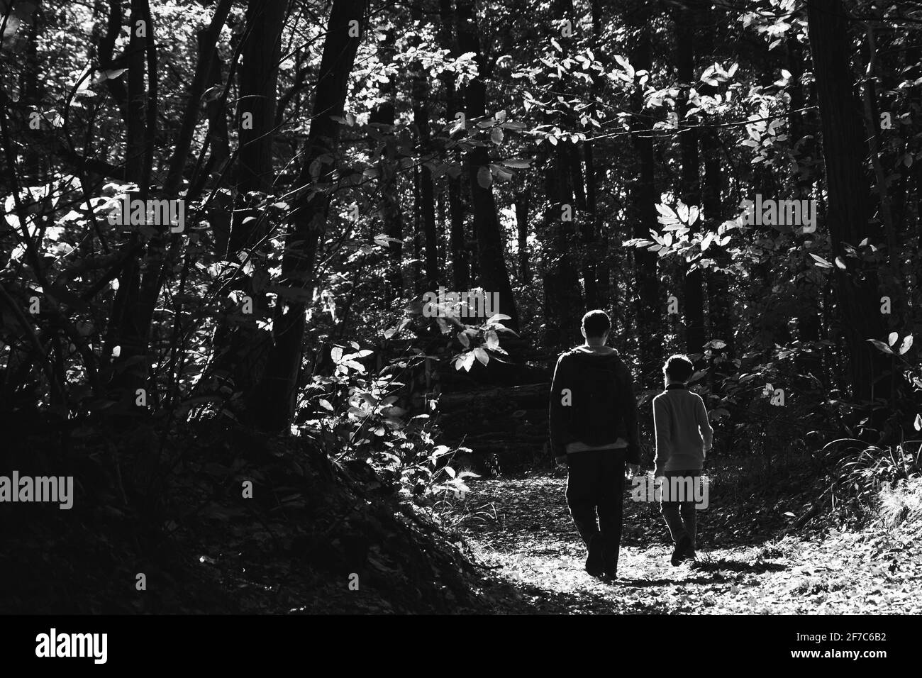 Vater und Sohn wandern im Herbstwald auf dem französischen Land. Rückansicht. Natürliches Lifestyle-Konzept. Familienurlaub. Vaterschaft. Schwarz-weiß Stockfoto
