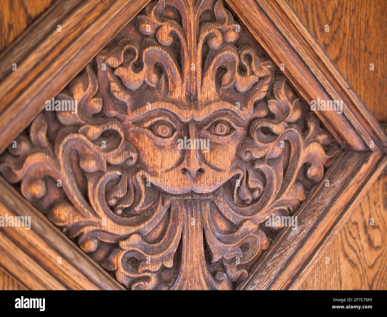 Greenman Carving, Brasenose College, University of Oxford, Oxfordshire, England, GB, GB. Stockfoto