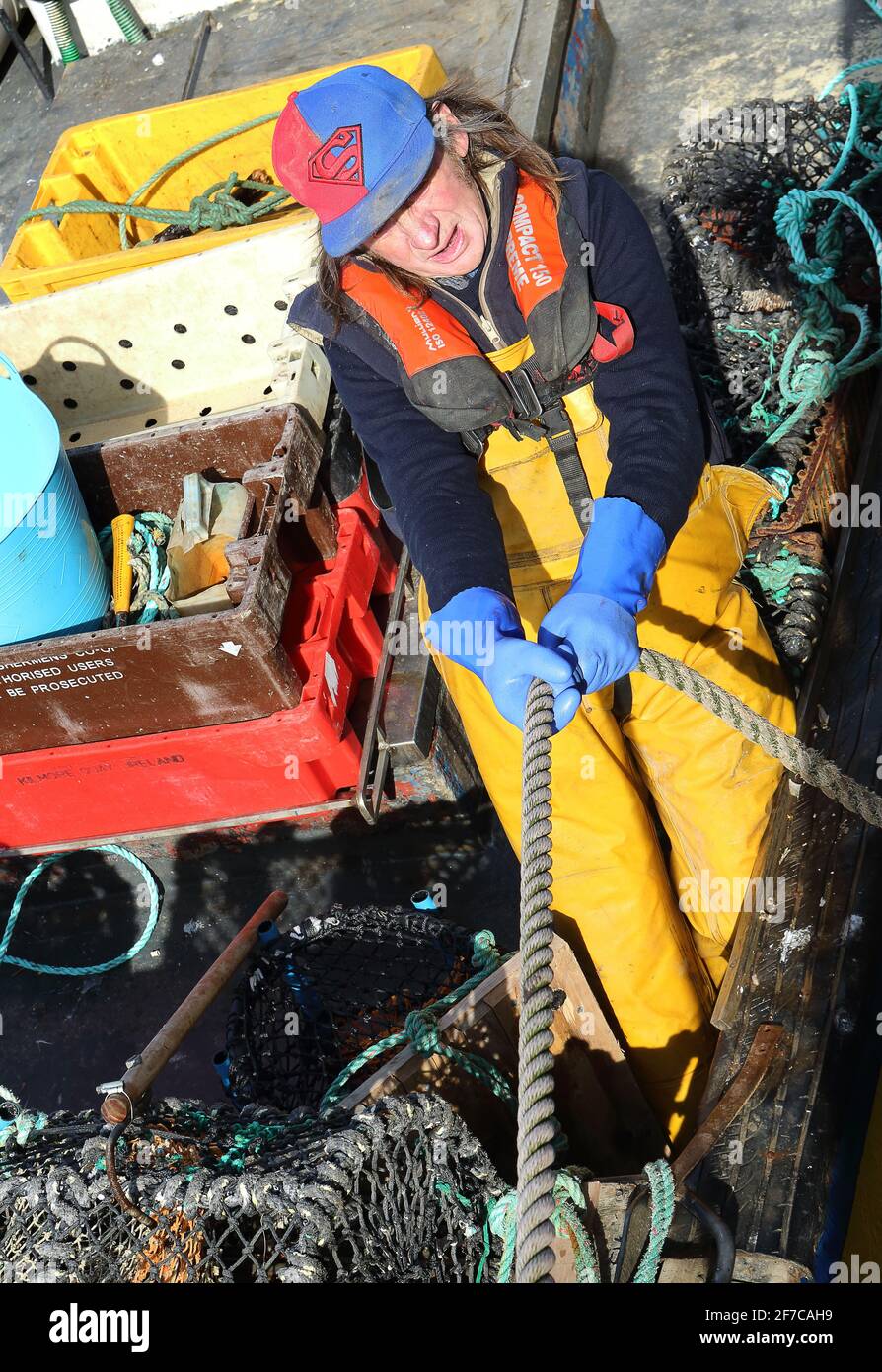 Küstenfischerei vom Hafen von Lougshinny, Irland Stockfoto