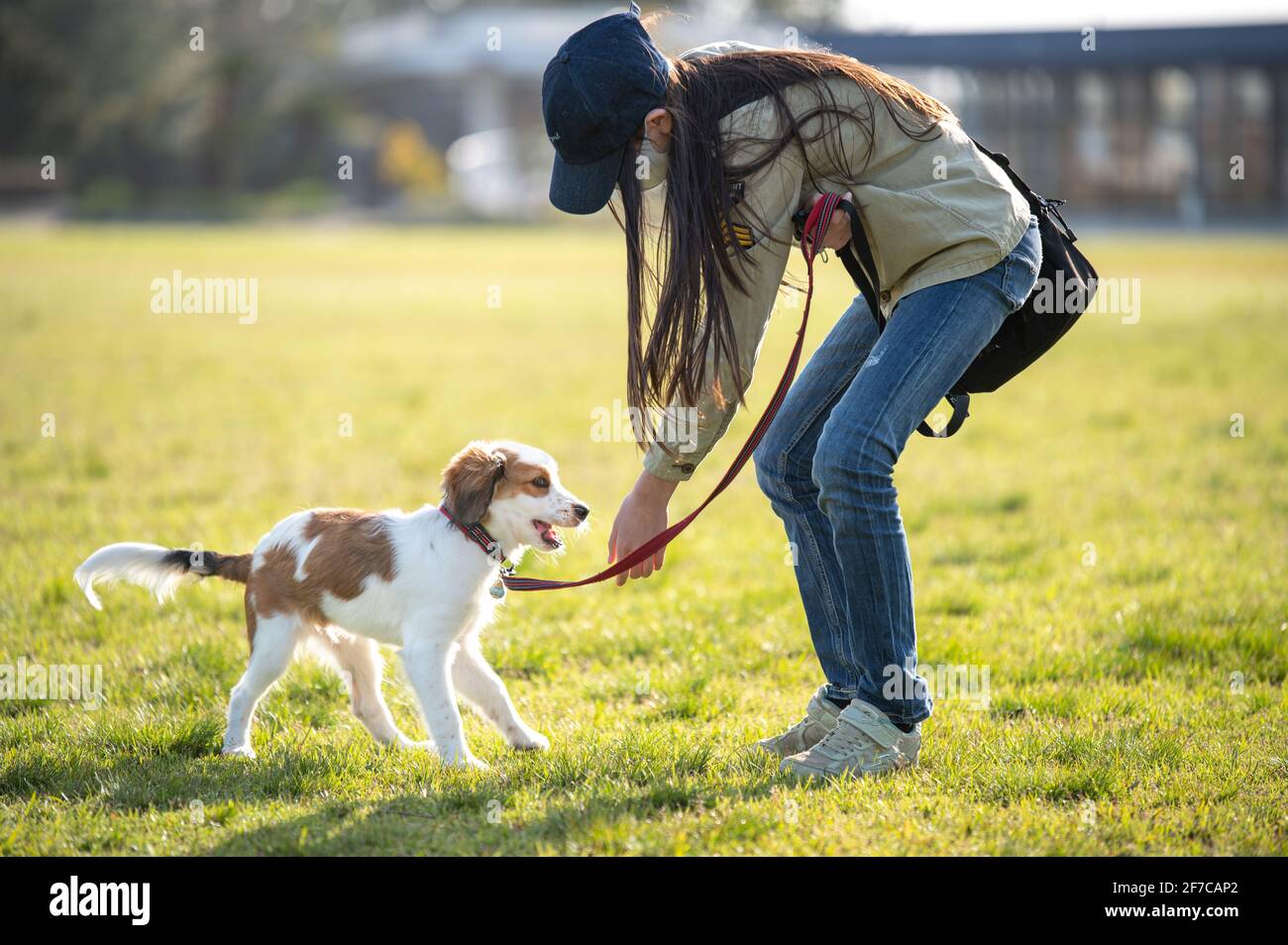 Junges Mädchen mit einer Gesichtsmaske, die im Park mit ihrem Hund spielt. Frühling. Stockfoto