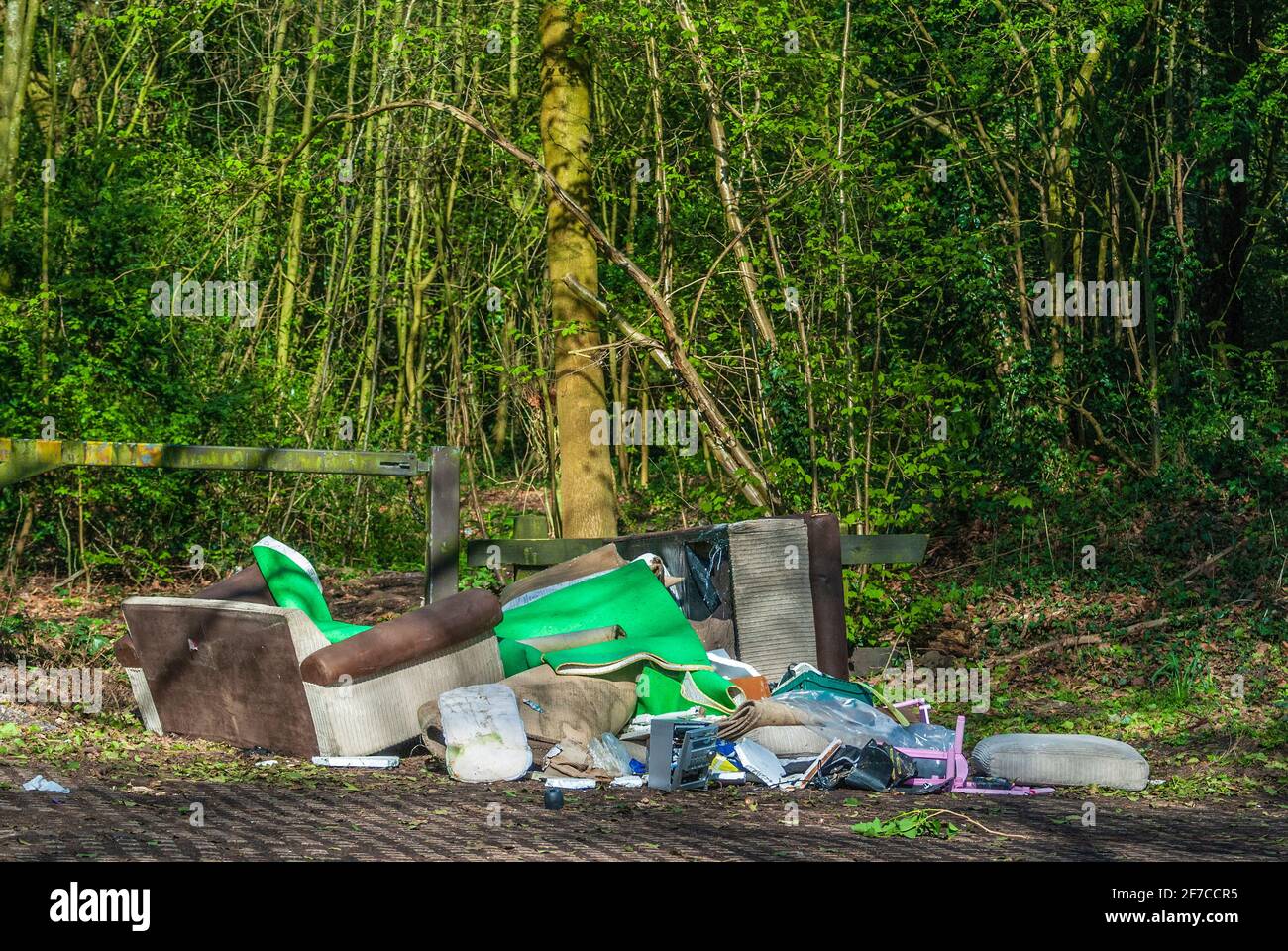 Illegal Fly kippte Müll in einem bewaldeten Gebiet. Stockfoto