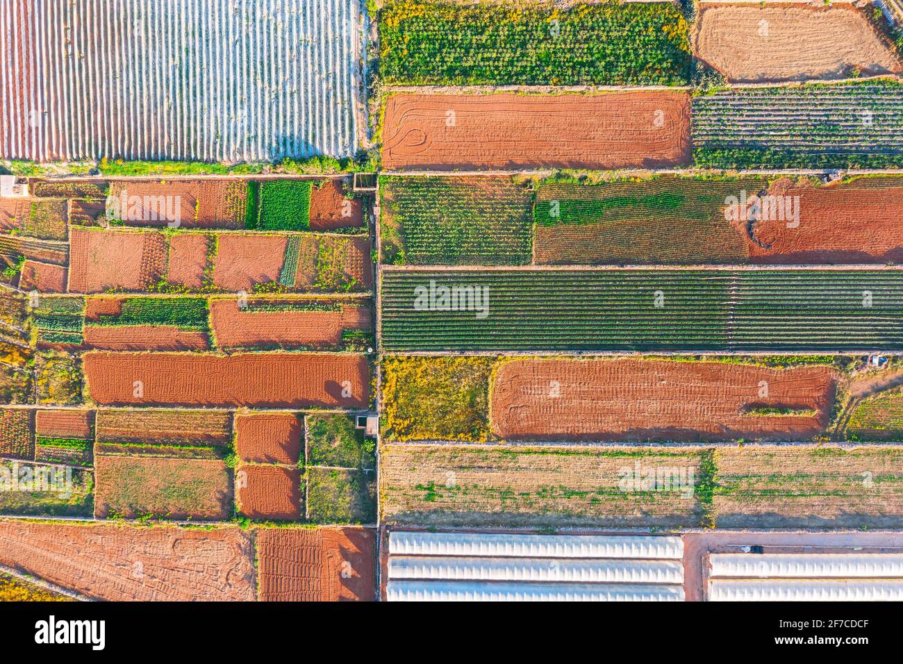 Luftaufnahme der verschiedenen Felder von Pflanzen und Gewächshäusern. Konzept des agro-industriellen Komplexes Stockfoto