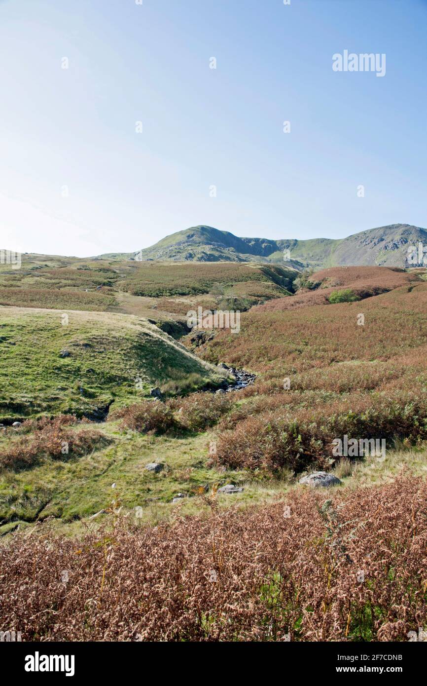 Dow Crag und der alte Mann von Coniston aus gesehen Die Ufer des Torver Beck Coniston Lake District Cumbria England Stockfoto