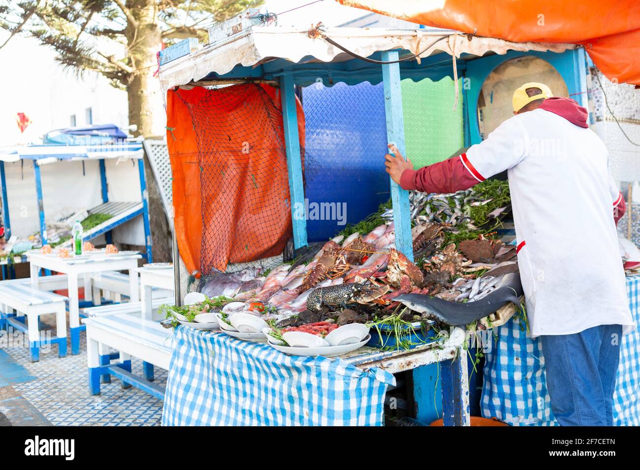 Meeresfrüchte des Nordatlantiks werden im Hafen von Essaouira, Marokko, angeboten Stockfoto