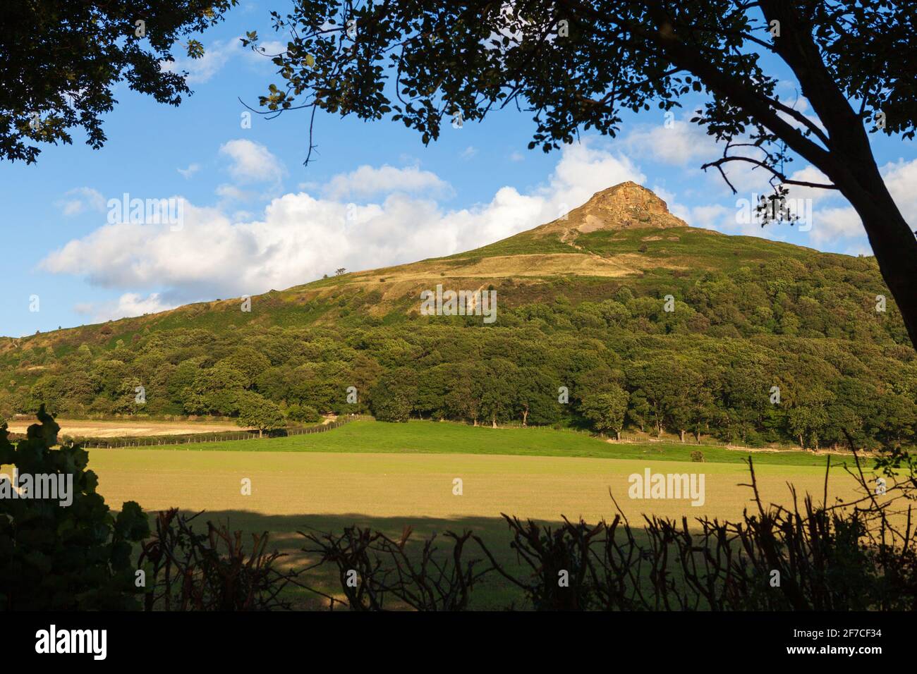 Sommeransicht des Roseberry Topping, einem prominenten Hügel im North York Moors National Park, vom Parkplatz bei Newton unter Roseberry Stockfoto