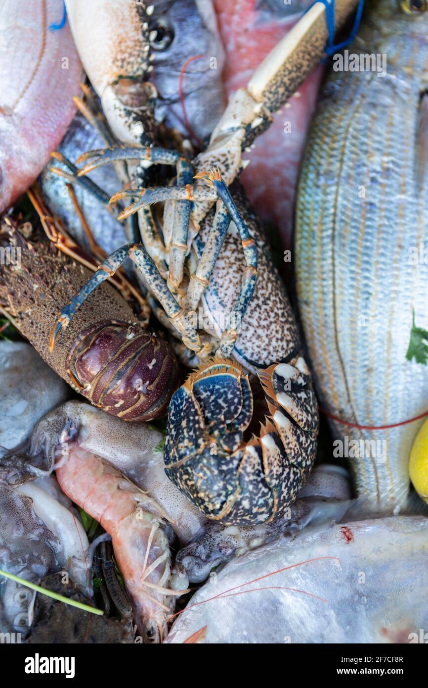 Meeresfrüchte des Nordatlantiks werden im Hafen von Essaouira, Marokko, angeboten Stockfoto