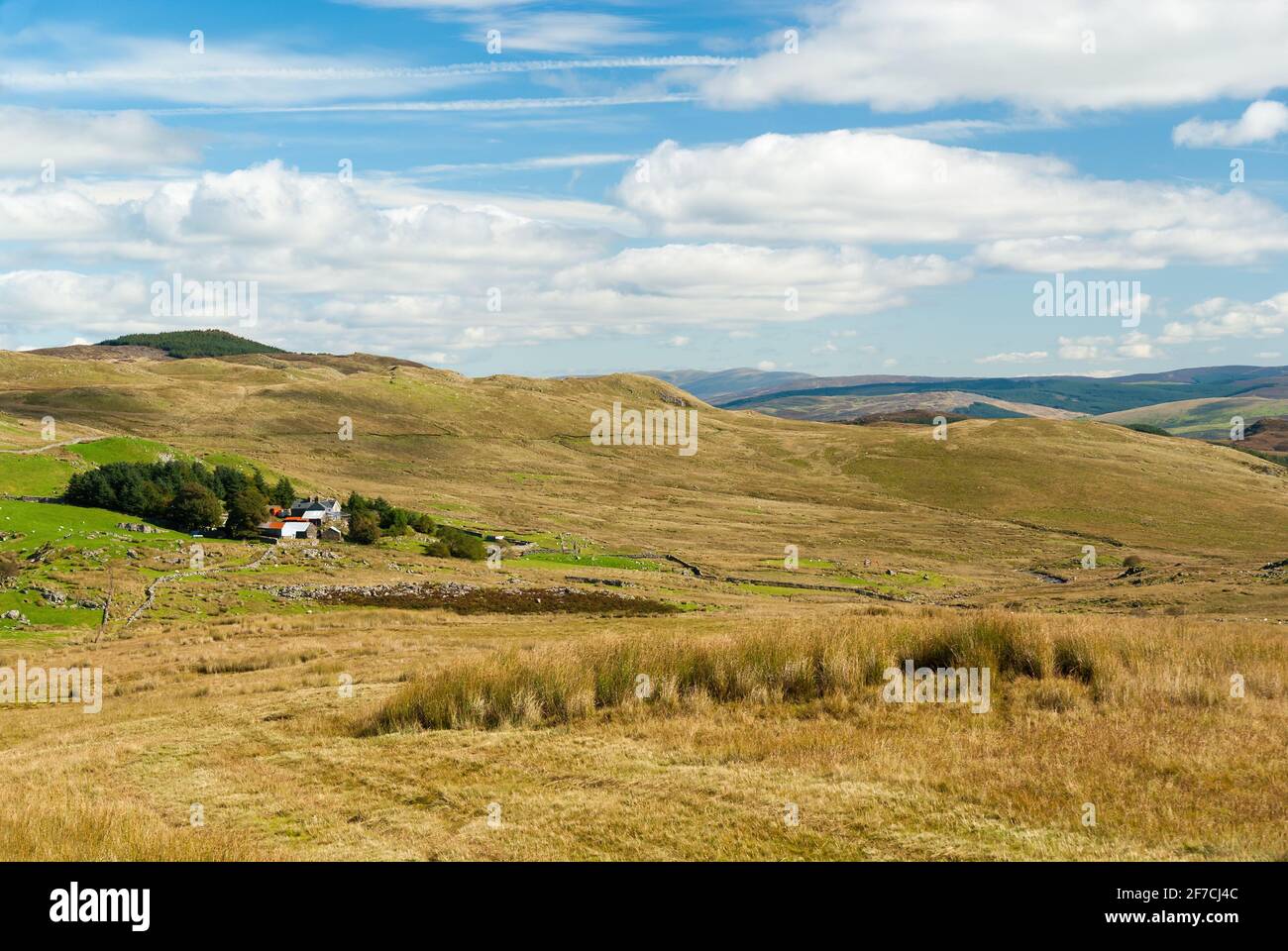 Eine abgelegene und isolierte Hochlandfarm, eingebettet in die düstere Landschaft außerhalb von Bala in Nordwales Stockfoto