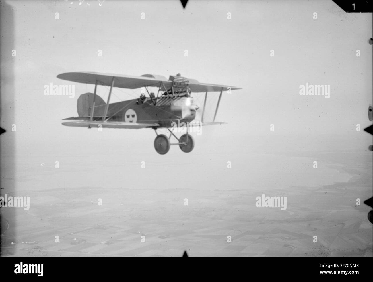 Flugzeug in der Luft Flugzeug Phönix C.I mit Flügeltanks in der Luft. Stockfoto