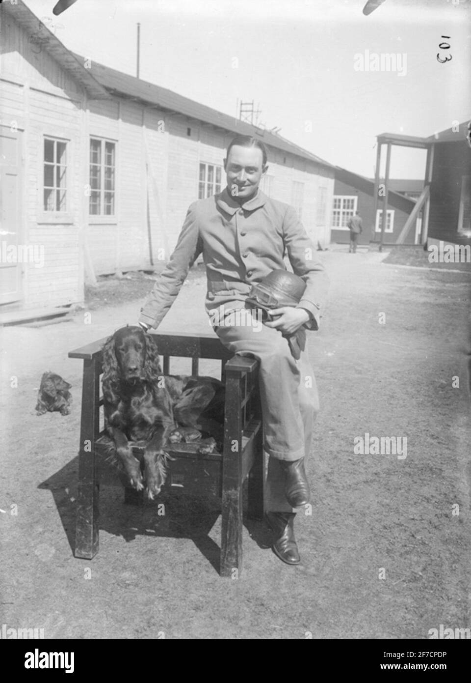 Porträt, Leutnant und zwei Hunde Porträt des Militärs mit zwei Hunden auf Erz. Stockfoto