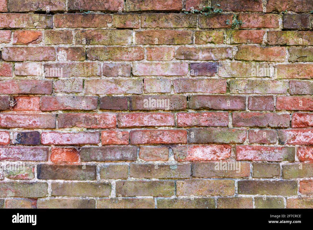Mehrfarbige Backsteinwand Hintergrund Vielzahl von Ziegeln Backsteinwand gemacht Mit alten wiedergewonnenen Steinen Foto in hoher Auflösung und hoher Qualität Stockfoto