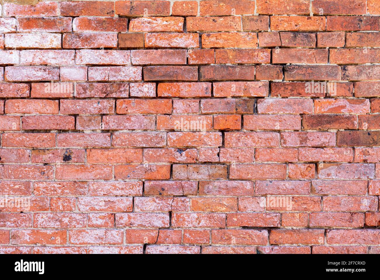 Backsteinwand Hintergrund Vielzahl von Ziegeln Backsteinwand mit gemacht Regelmäßige neue Hausziegel hohe Auflösung hohe Qualität Foto Stockfoto