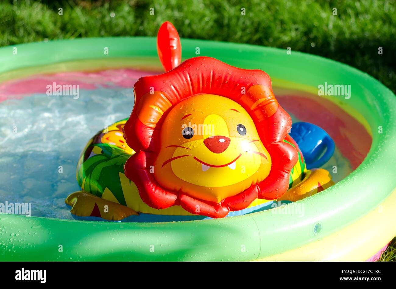 Aufblasbarer Ringlöwe im Schwimmbad Stockfoto