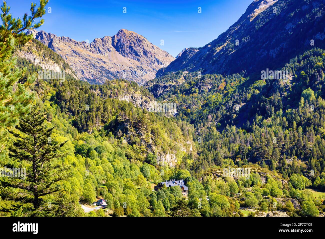 Blick auf die Wälder und den Berg auf dem Weg zu den Aigualluds, Benasque, Aragon, Spanien Stockfoto