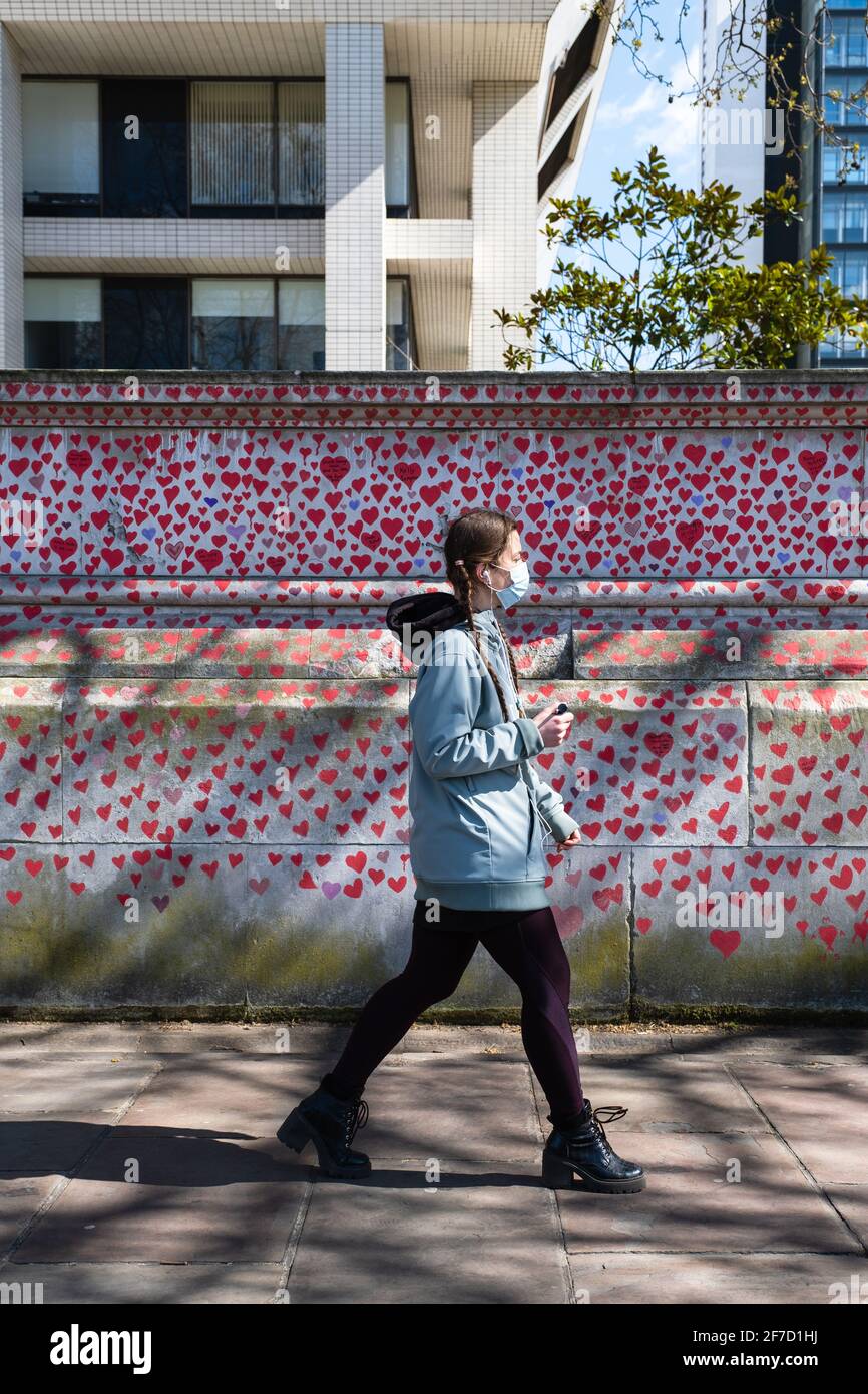 London, Großbritannien - April 2021. Die National Covid Memorial Wall. Fast 150,000 Herzen werden von Freiwilligen gemalt, eines für jedes Covid-19-Opfer im Vereinigten Königreich Stockfoto