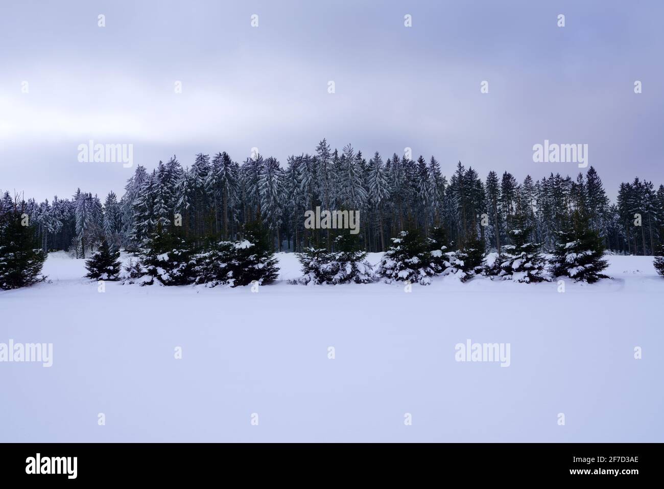 Landschaftlich schöner Blick auf eine Winterlandschaft gegen den Himmel Stockfoto