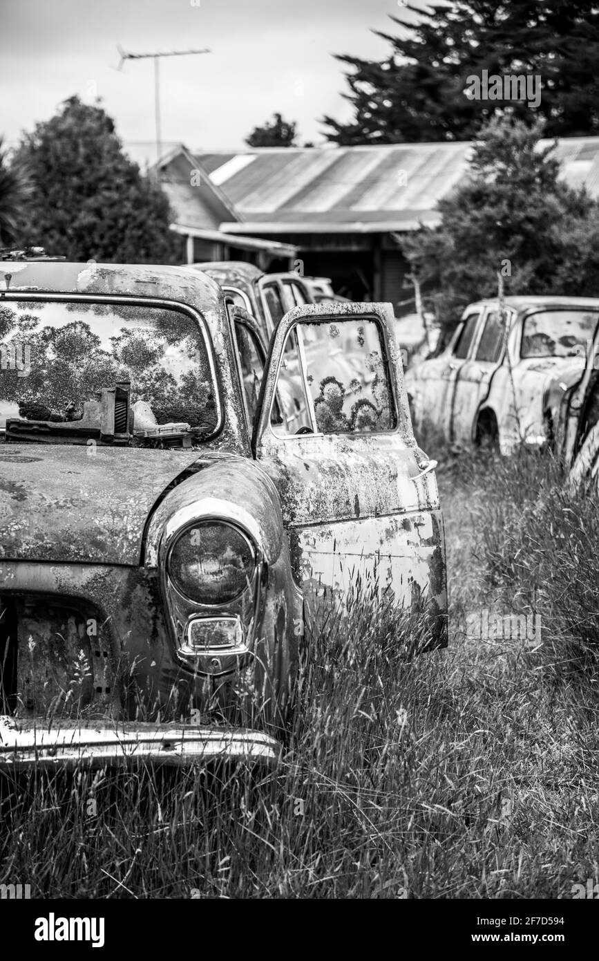 Antike Autos auf einem großen Schrottplatz am Ende des Old Coach Road Trail, Nordinsel Neuseelands Stockfoto