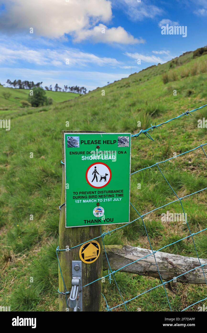 Ein Schild, das besagt, dass Hunde auf einer kurzen Führung sein sollten, um Störungen während der Vogelbrütersaison vom 1. März bis 21. Juli, in der englischen Grafschaft von Heshire, Großbritannien, zu verhindern Stockfoto
