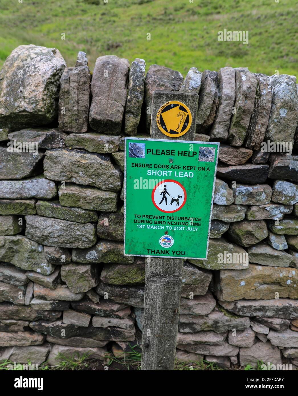 Ein Schild, das besagt, dass Hunde auf einer kurzen Führung sein sollten, um Störungen während der Vogelbrütersaison vom 1. März bis 21. Juli, in der englischen Grafschaft von Heshire, Großbritannien, zu verhindern Stockfoto