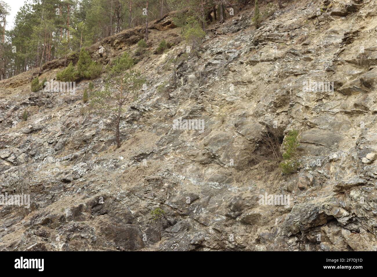 Teil eines steilen Berghandes mit offenen Talushängen Stockfoto