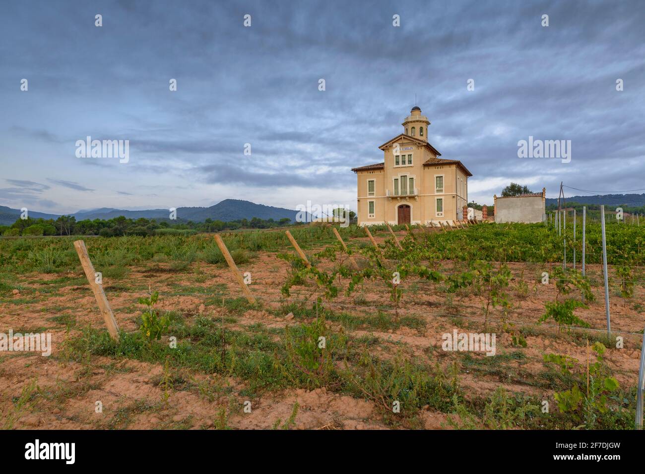 Torre Lluvià de Manresa, umgeben von Weinbergen der DO Pla de Bages, bei einem Sommeraufgang (Provinz Barcelona, Katalonien, Spanien) Stockfoto