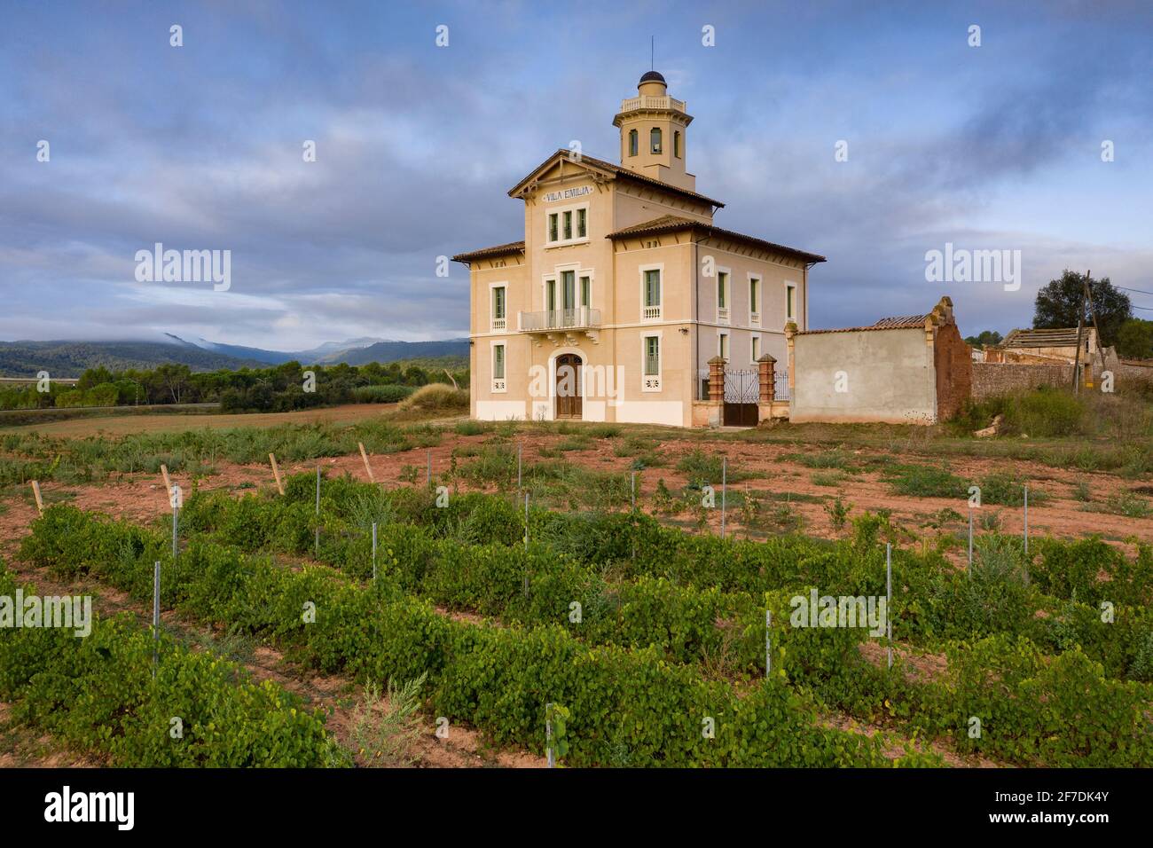 Torre Lluvià de Manresa, umgeben von Weinbergen der DO Pla de Bages, in einer Luftaufnahme eines Sommeraufgangs (Provinz Barcelona, Katalonien, Spanien) Stockfoto