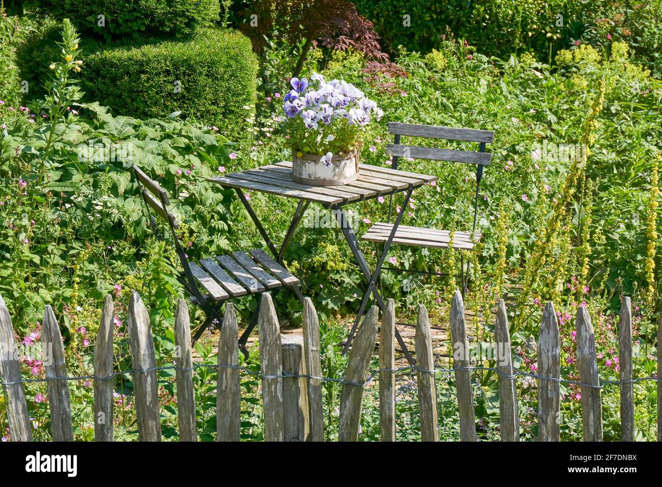 Blick auf alten verwitterten weißen französischen Bistrotisch und Stühle in einem üppigen Garten mit altem Holzmast davor. Auf dem Tisch ein Topf mit violetten Veilchen. Stockfoto
