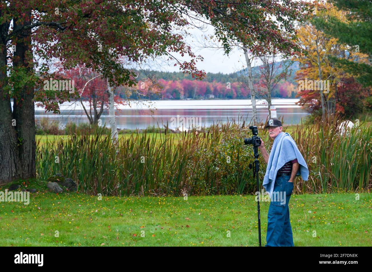 Senior Mann Urlauber, macht Bilder von Herbstlaub in New England, Vermont, USA Stockfoto