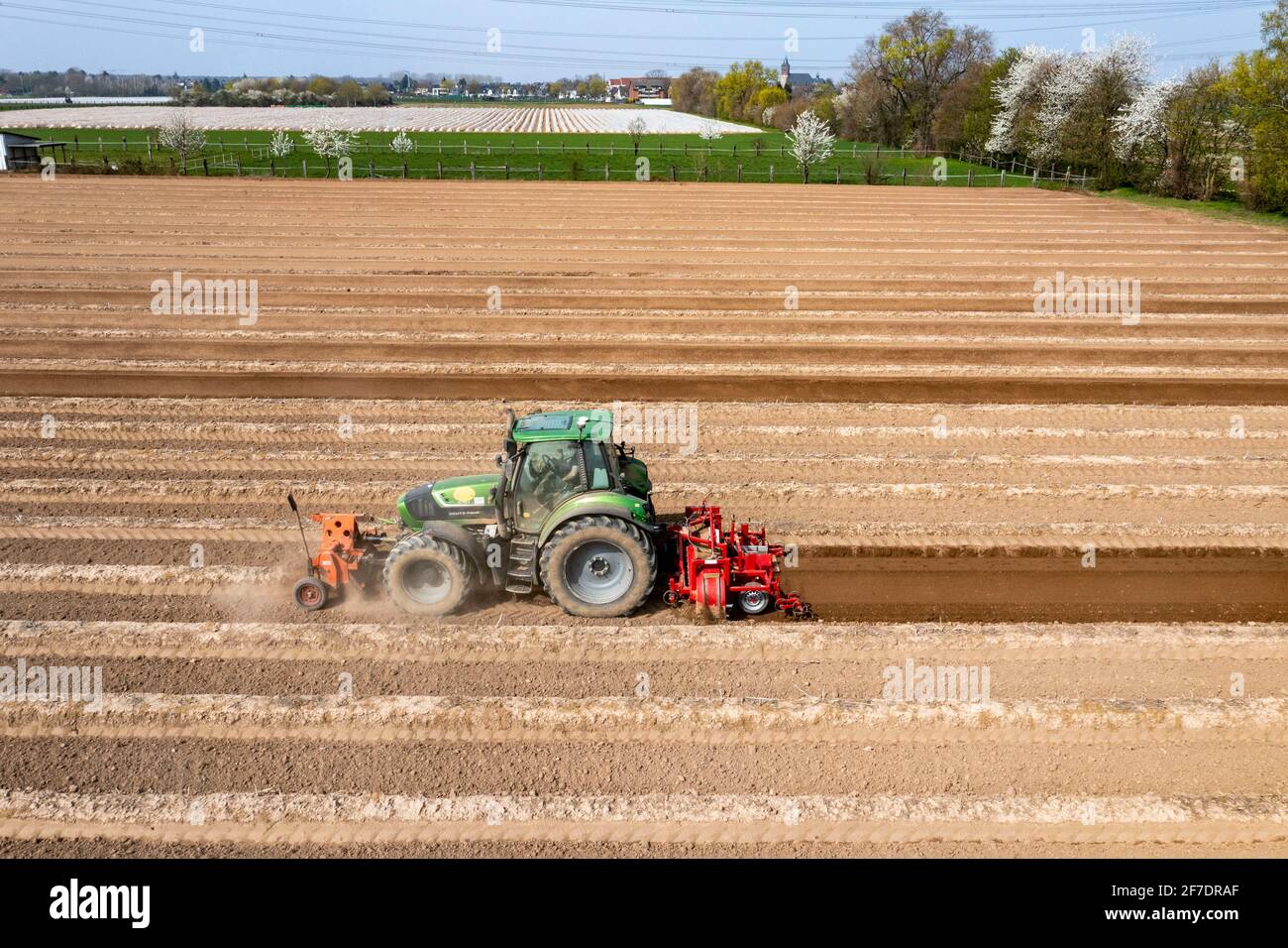 Ein Landwirt baut Spargelkämme auf einem Feld mit Hilfe eines Spargelkämmers, in dem der Spargel dann wächst, Dormagen, NRW, Deutschland Stockfoto