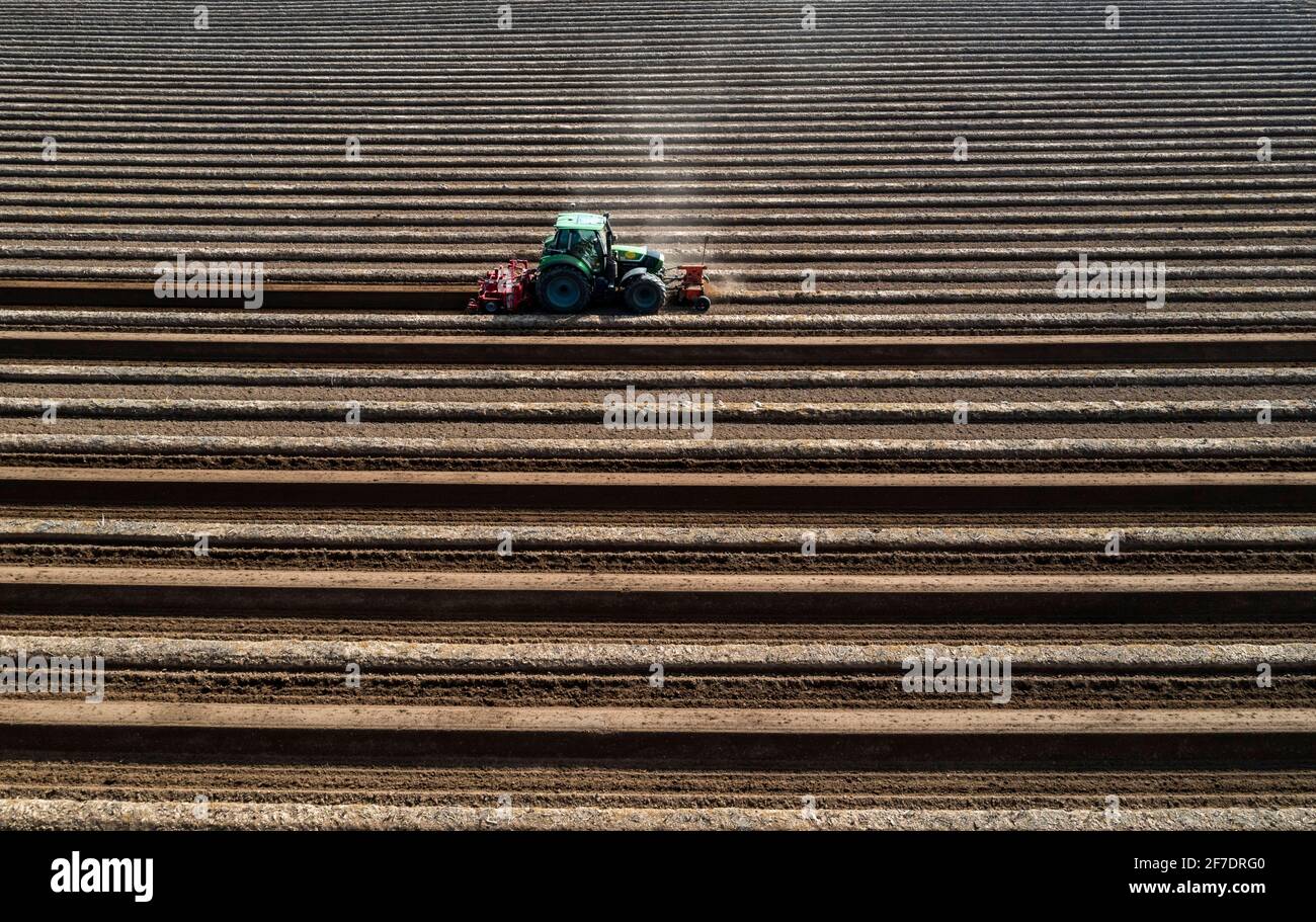 Ein Landwirt baut Spargelkämme auf einem Feld mit Hilfe eines Spargelkämmers, in dem der Spargel dann wächst, Dormagen, NRW, Deutschland Stockfoto