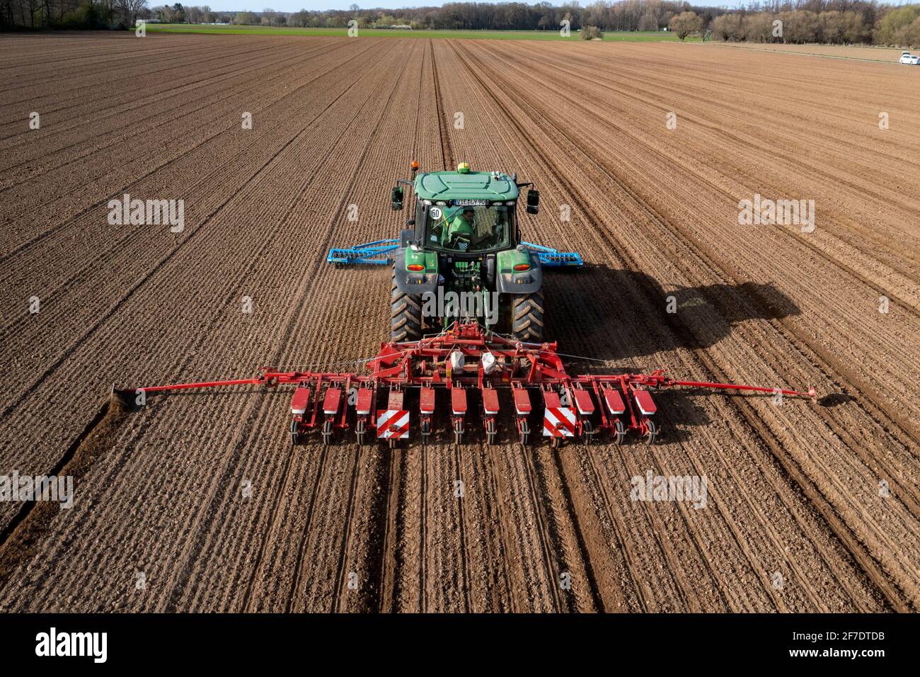 Zuckerrüben, die im Frühjahr gesät werden, Präzisionssäen mit  Präzisionsbohrmaschine, hinter einem Traktor, Niederkrüchten, NRW,  Deutschland Stockfotografie - Alamy