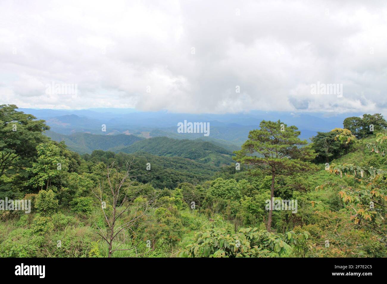 Blick vom Doi Kiew Lom Aussichtspunkt in der Provinz Mae Hong Son, Thailand Stockfoto