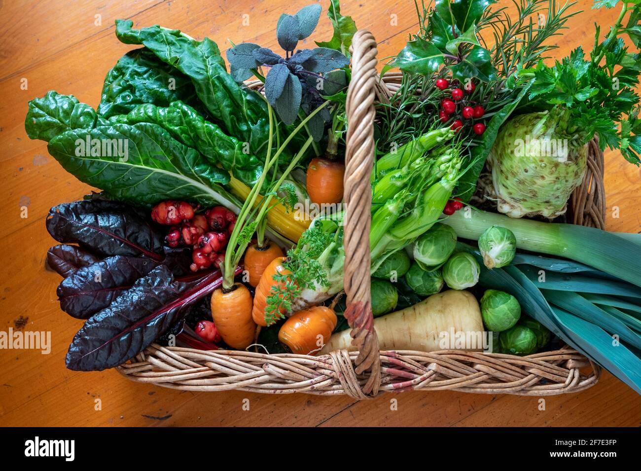 Ein attraktiver Weidenkorb mit buntem selbst angebautem Wintergemüse, einschließlich Karotten, Lauch, Sprossen, Pastinaken, Mangold, Yams und Sellerie. VEREINIGTES KÖNIGREICH. Stockfoto