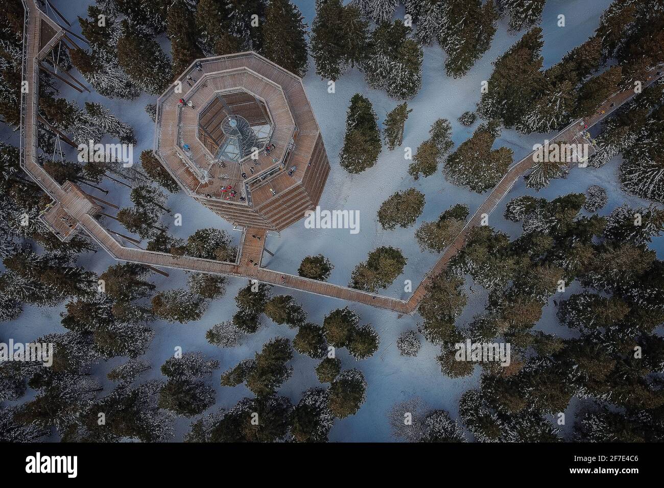Luftaufnahme eines Baumkronenturm und Gehweg, auch Fußweg über Baumkronen auf Rogla an einem kalten Wintertag. Schöne Landschaft auf Rogla Stockfoto