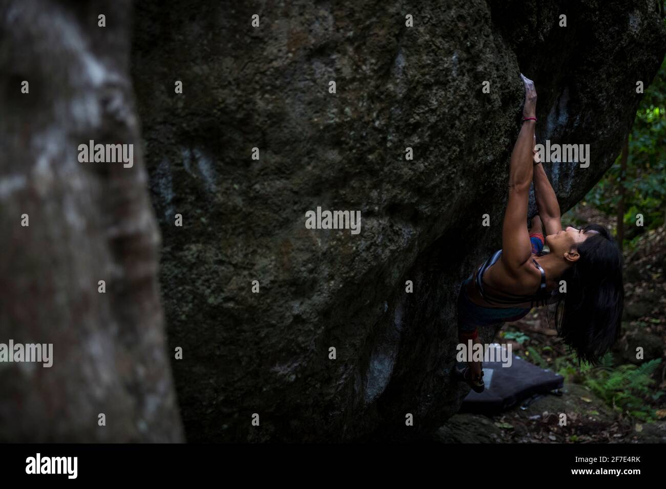 Fit junge Frau Bouldern im hawaiianischen Regenwald Stockfoto