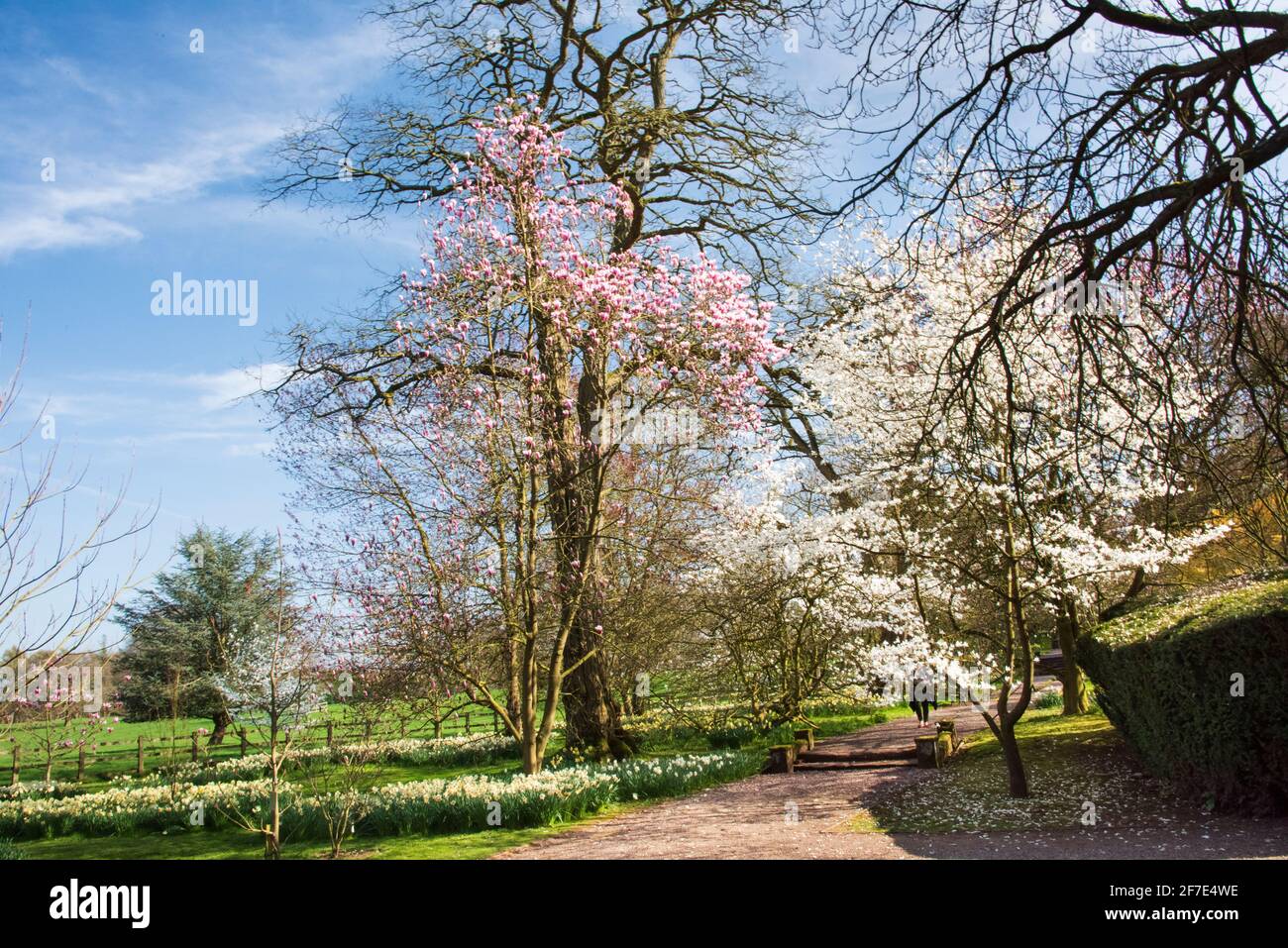 Hodnett Hall Gardens Stockfoto