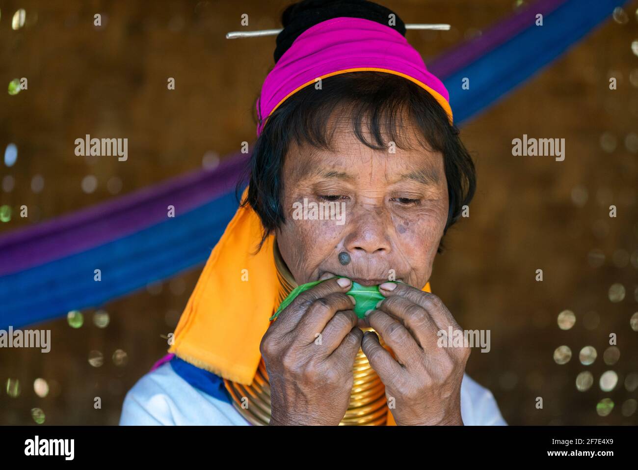 Frau aus dem Stamm der Kayan spielt Lied auf Blatt, in der Nähe von Loikaw, Myanmar Stockfoto