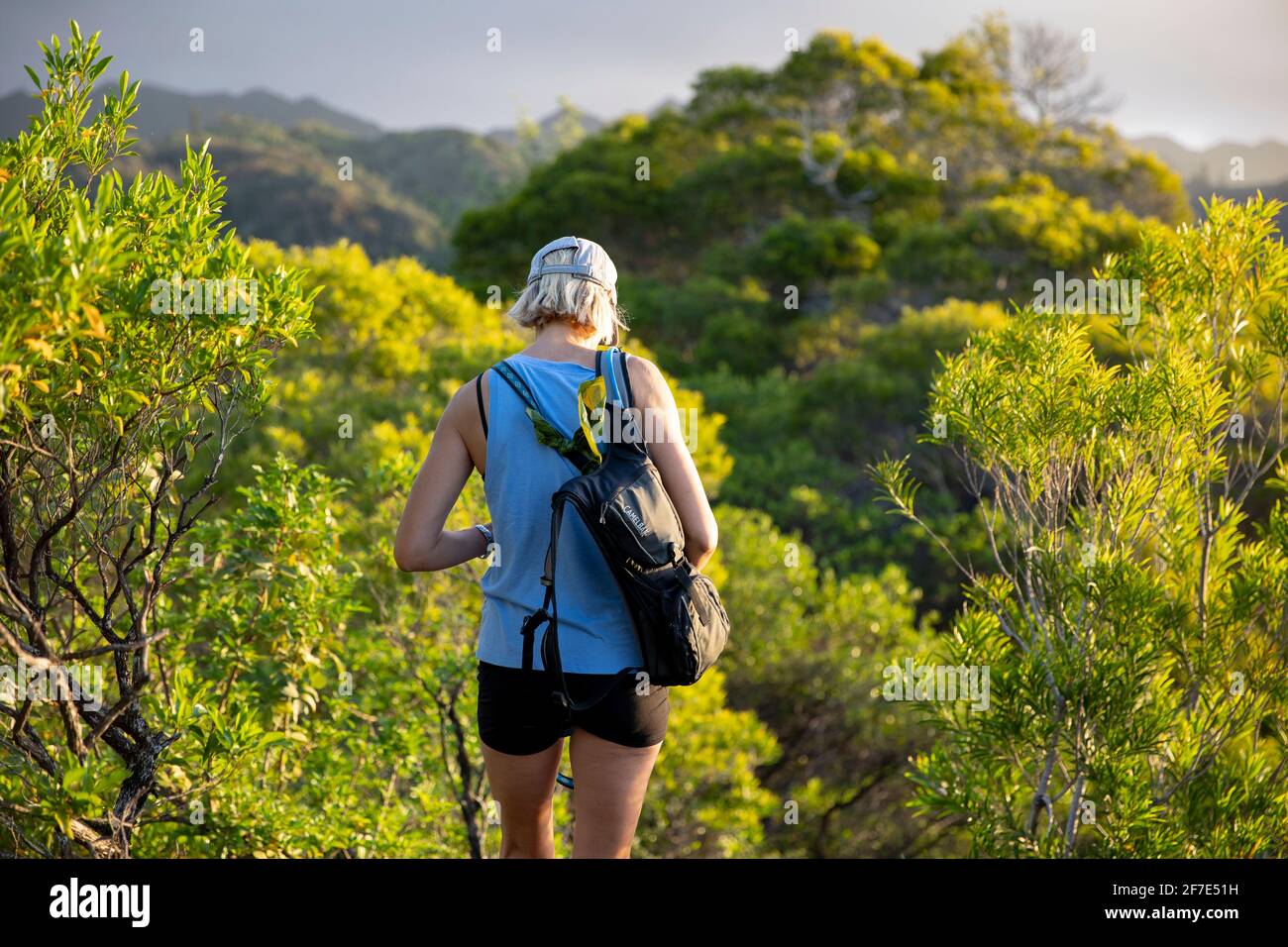 Junge blonde Frau geht auf eine morgendliche Wanderung in Oahu, Hawaii Stockfoto