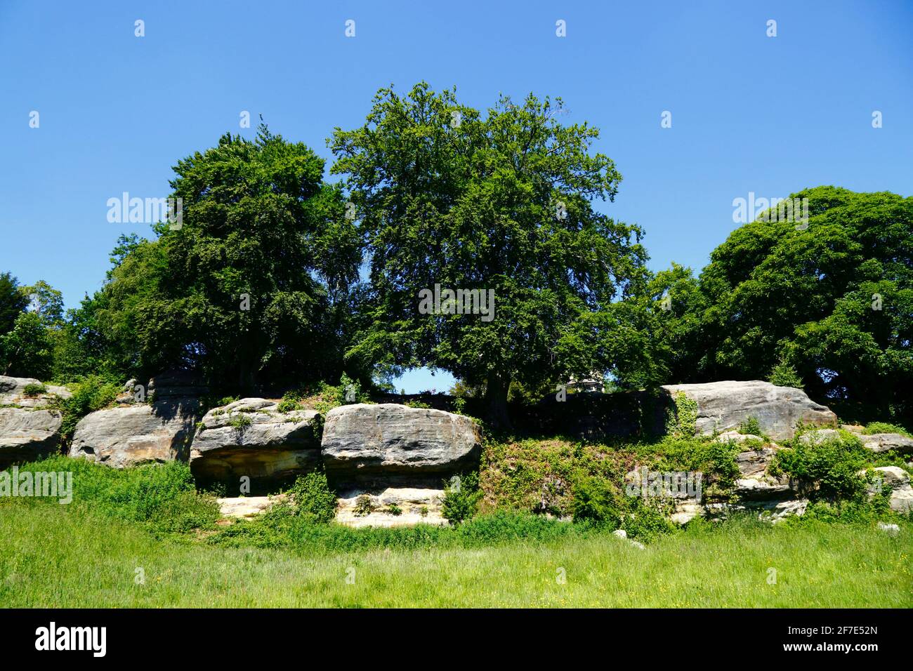 Mount Edgcumbe rockt auf Tunbridge Wells Common, Royal Tunbridge Wells, Kent, England Stockfoto