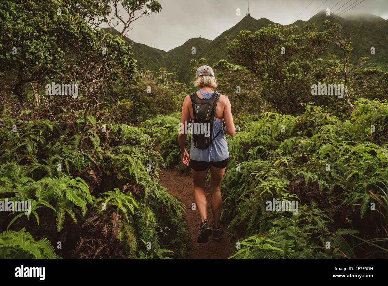 Athletische blonde Frau, die auf einer Wanderung im Hawaiian geht Regenwald Stockfoto