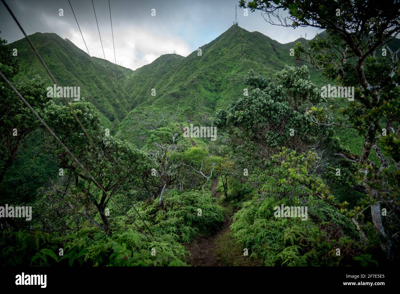 Stromleitungen, die durch eine tropische Bergkette auf Hawaii führen Stockfoto