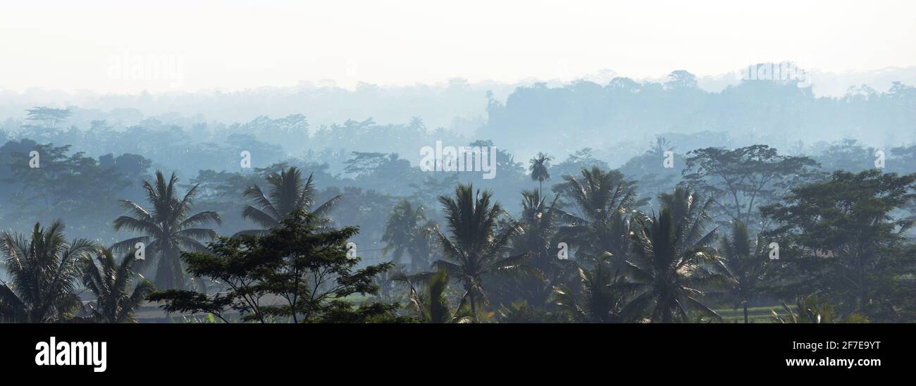 Ein nebliger Morgenblick auf die Landschaft im Zentrum von Bali, Indonesien. Stockfoto
