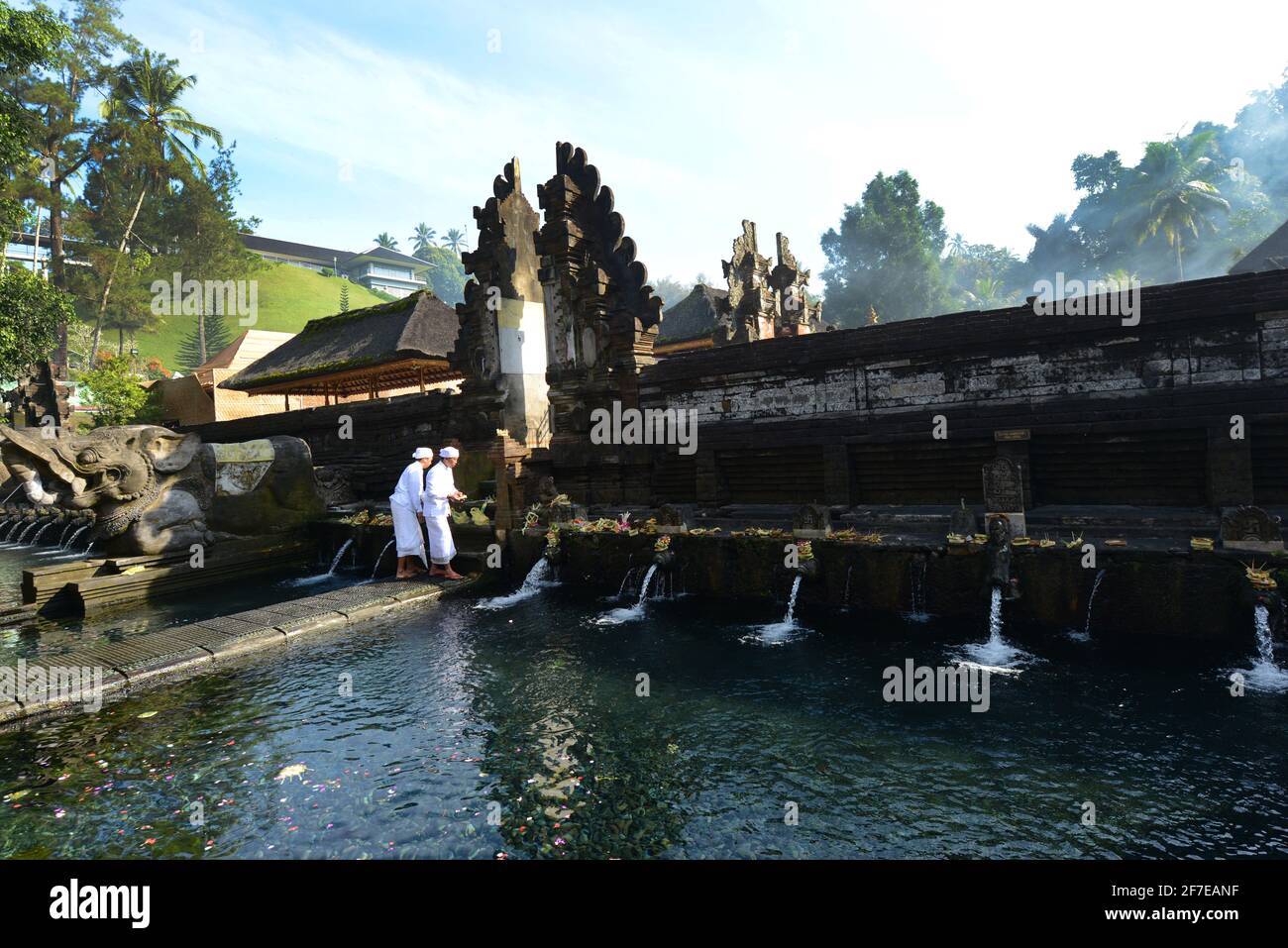 Balinesischer Hindu-Priester, der am reinigenden Pool im Tirta-Empul-Tempel in Bali, Indonesien, betet. Stockfoto