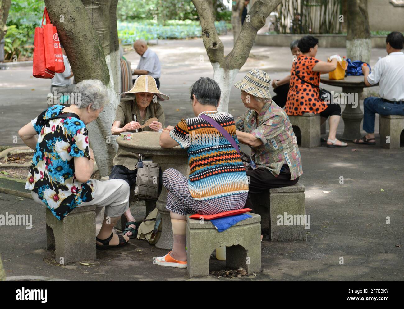 Chinesische Frauen spielen Karten im Zhongshan Park in Xiamen, China. Stockfoto