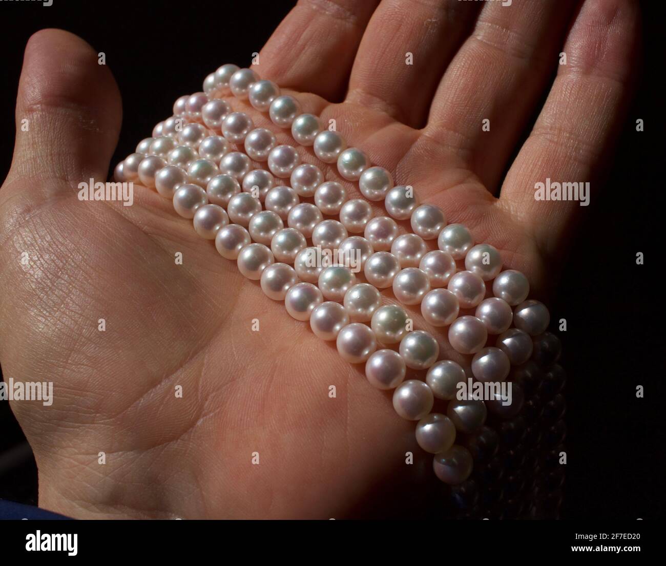 Zahlreiche Stränge kultivierter japanischer Akoya-Perlen Stockfotografie -  Alamy