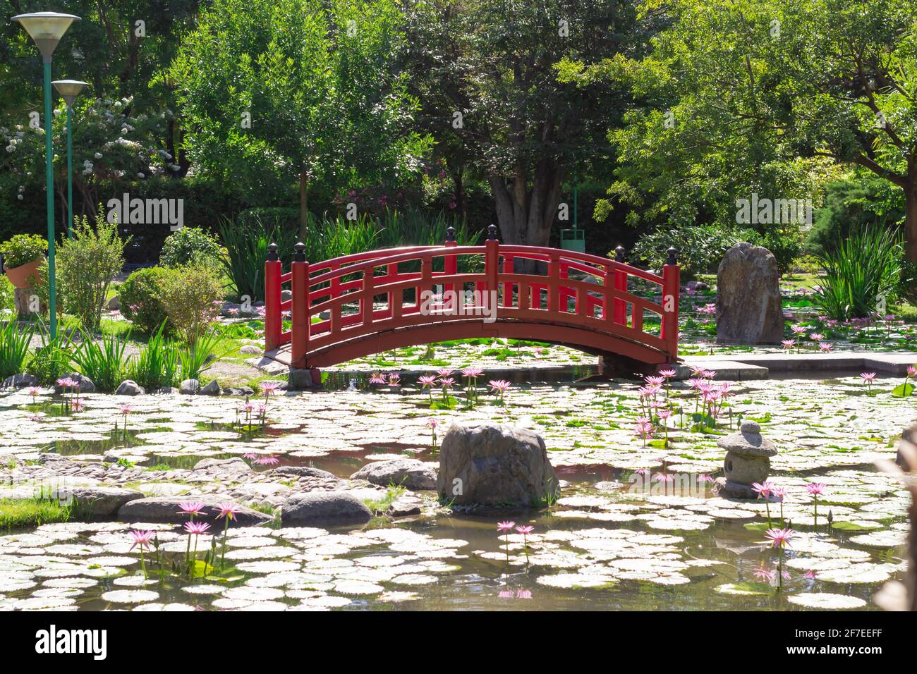 Kleine rote Brücke in einem Stadtpark an einem sonnigen Tag. Stockfoto
